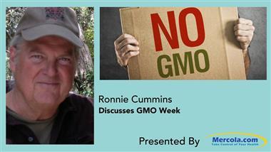 The Great GMO Food Fight: What’s Next?