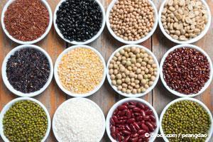 beans in pet food