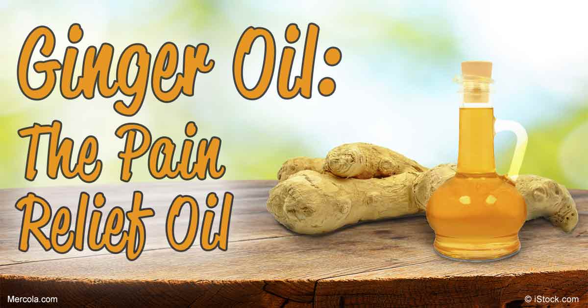 Ginger Oil 10ml Naturesupplies