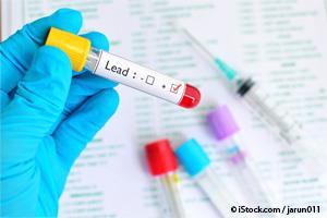 lead poisoning in dogs