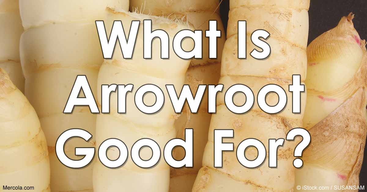 The Health Benefits of Arrowroot