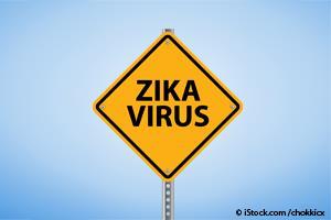 pet zika virus