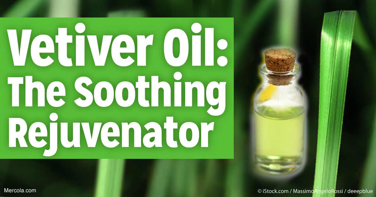 Herbal Oil: Vetiver Oil Benefits and Uses