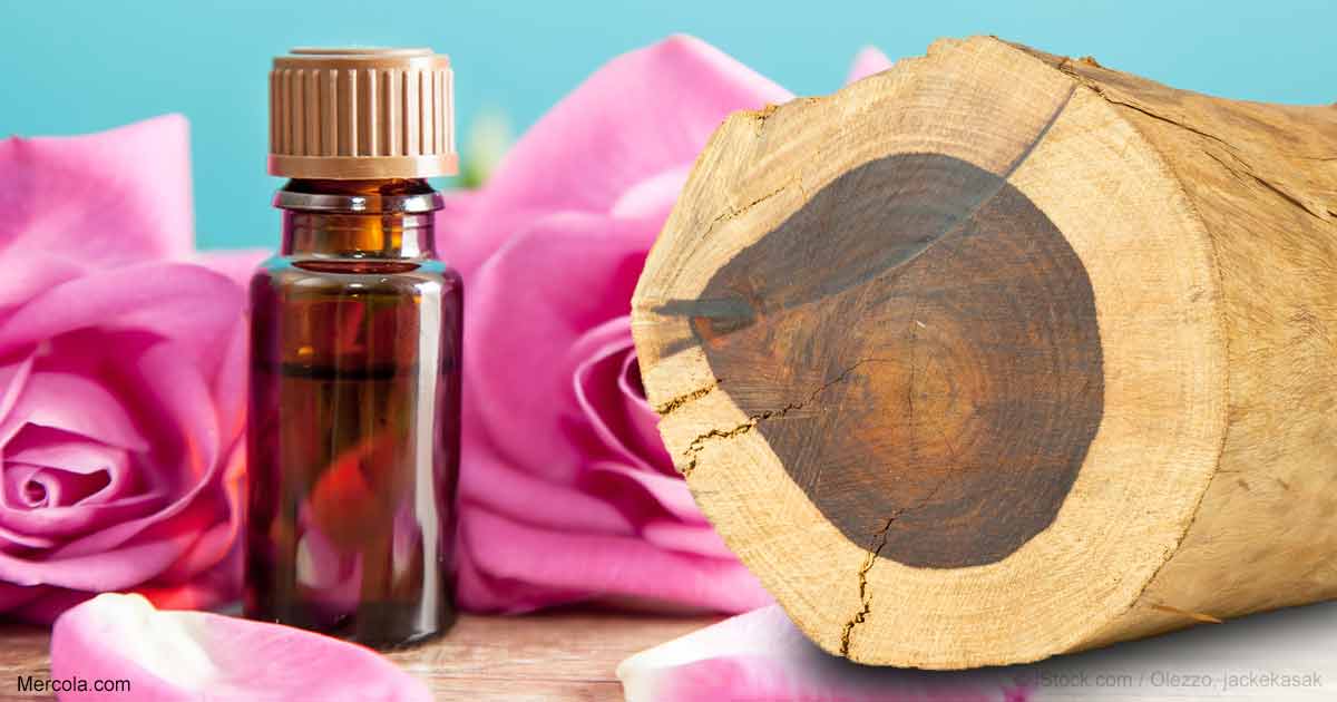 Herbal Oil: Rosewood Oil Benefits and Uses