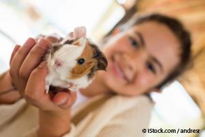 small pets household dangers