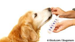 dietary supplement for pets