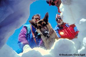 rescuers with avalanche dog