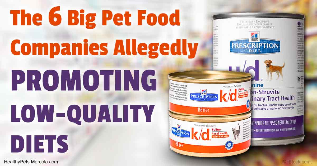 Best Dry Dog Food For Mast Cell Tumors / Salmon Oil - The Natural