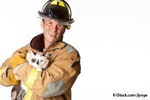 fireman rescues cat