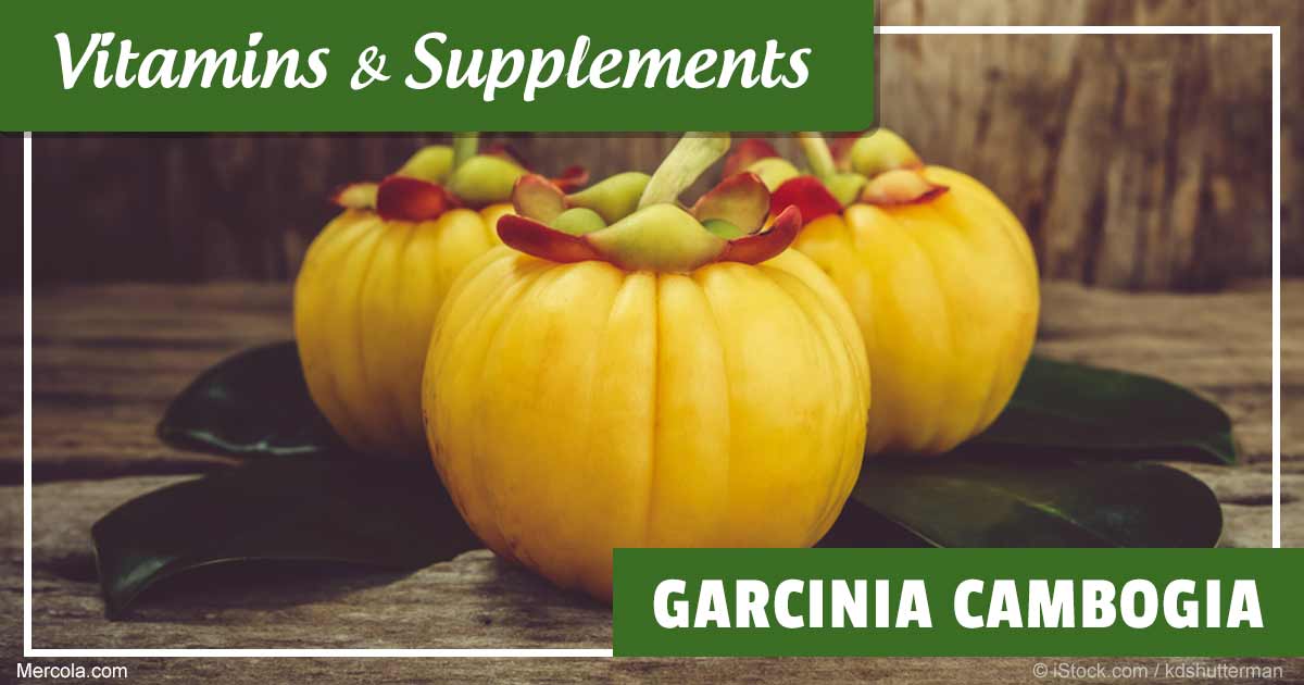 Garcinia Cambogia Uses And Side Effects