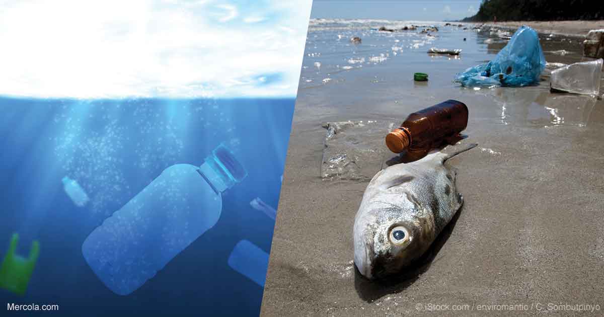 Plastic waste in Ocean