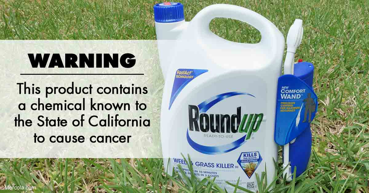 Image result for roundup and cancer