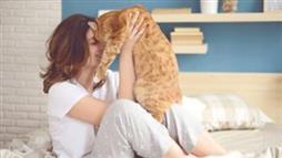 El Lenguaje Secreto del Amor de los Gatos: Cómo Saber Que Te Adoran