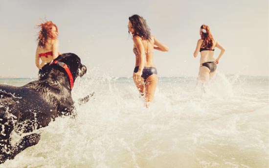 개랑 바닷가에서 노는 여자들