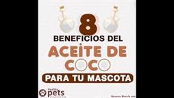 8 Beneficios del Aceite de Coco para Tu Mascota