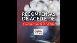 Recompensas de Aceite de Coco con Bayas
