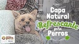 Capa Natural Refrescante para Perros