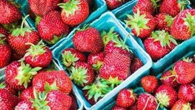 Strawberries Still the Dirtiest of the 'Dirty Dozen'