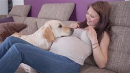 pregnant girl with dog