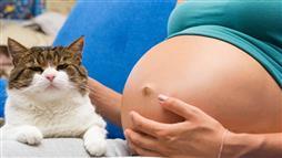 pregnant woman with cat