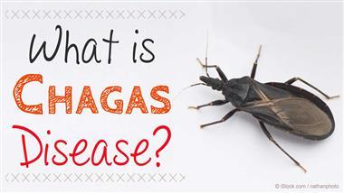 What Are ‘Kissing Bugs’? Chagas Disease-Causing Insects Infect 300,000 in US