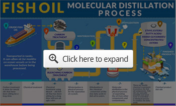 fish oil molecular distillation process