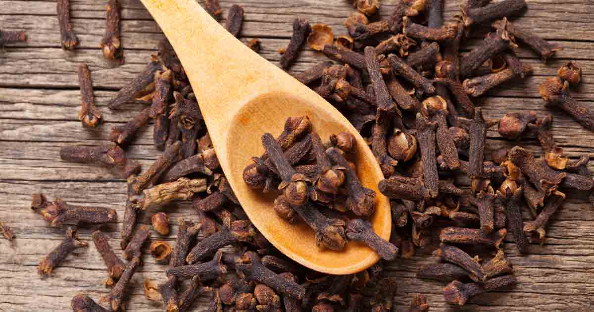 Clove: A Valuable Spice That's Been Used for Centuries