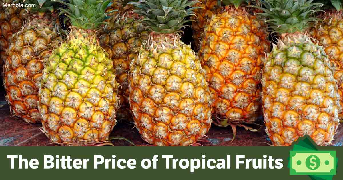 The Bitter Price of Tropical Fruits