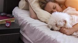 dormir con mascotas