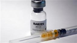 vacuna contra la rabia
