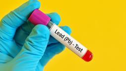 lead toxicity in pets