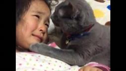 El Gatito más Tierno Abraza a la Niña Llorando
