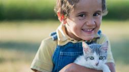 exponerse a gatos disminuye el riesgo de asma