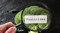 Pesticidas