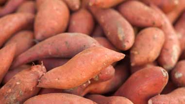 What Are the Health Benefits of Yams?