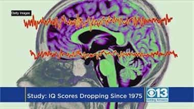 What's Driving the Decline in IQ Scores?