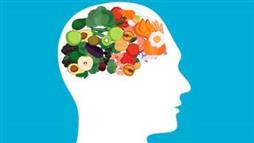 Alimentos para el Cerebro