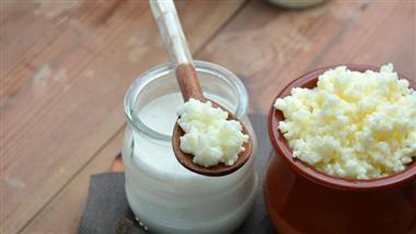 fermented dairy products