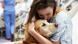 health benefits of dogs for humans
