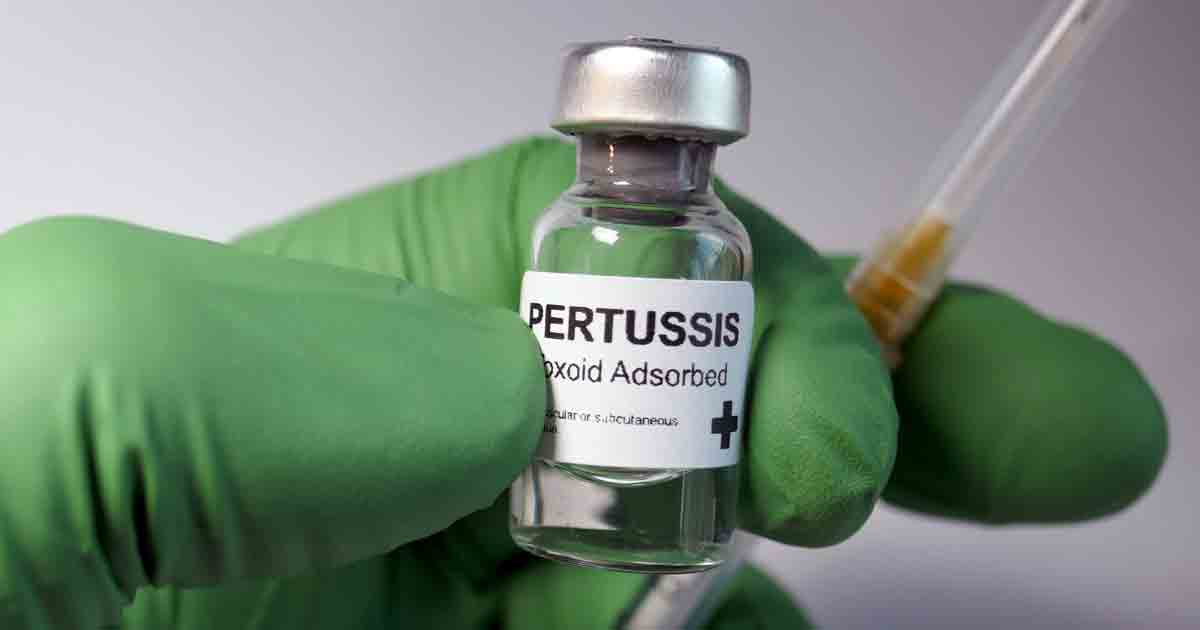 The Pertussis Vaccine Blame Game