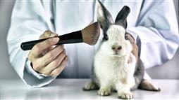cosmetics test on animals
