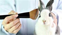 pruebas cosmeticas en animales