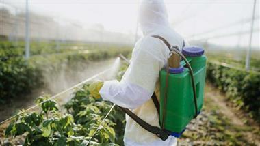 pumping up the pesticides