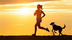benefits of exercise for dogs