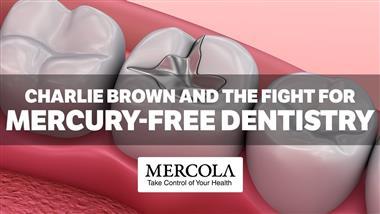 2019 update on the fight for mercury-free dentistry