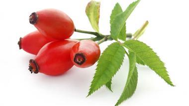 Boost Your Antioxidant and Healthy Fat Intake With Rosehip