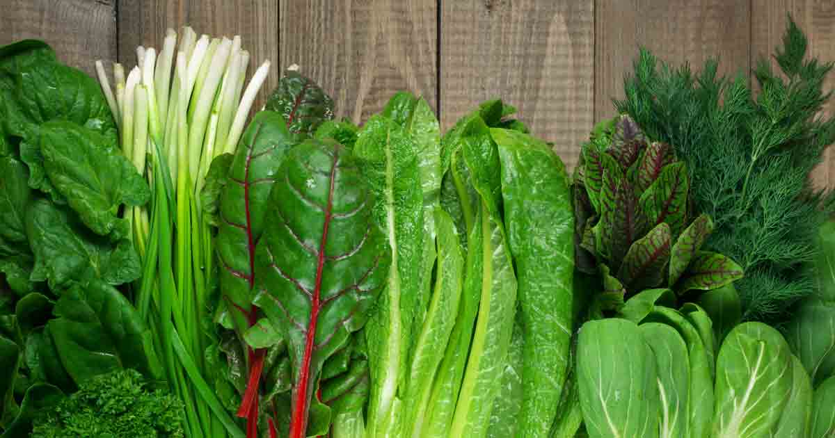 Get Nourished With Foods High in Nitrates