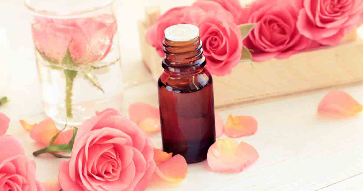 Rose Absolute Oil Benefits and Uses