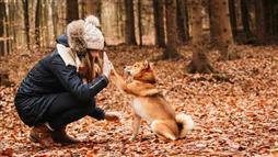 comunicacion entre humanos y perros