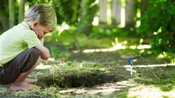 backyard burial for pets